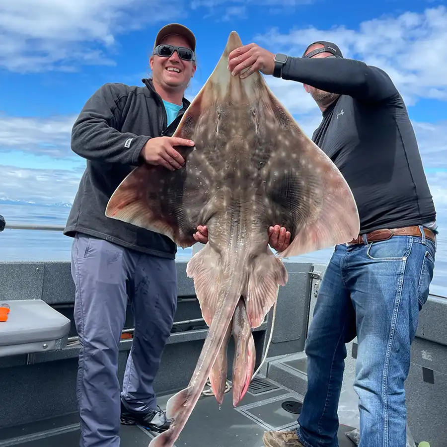 Homer Halibut Homer Customer holding up a Great Alaska Skate