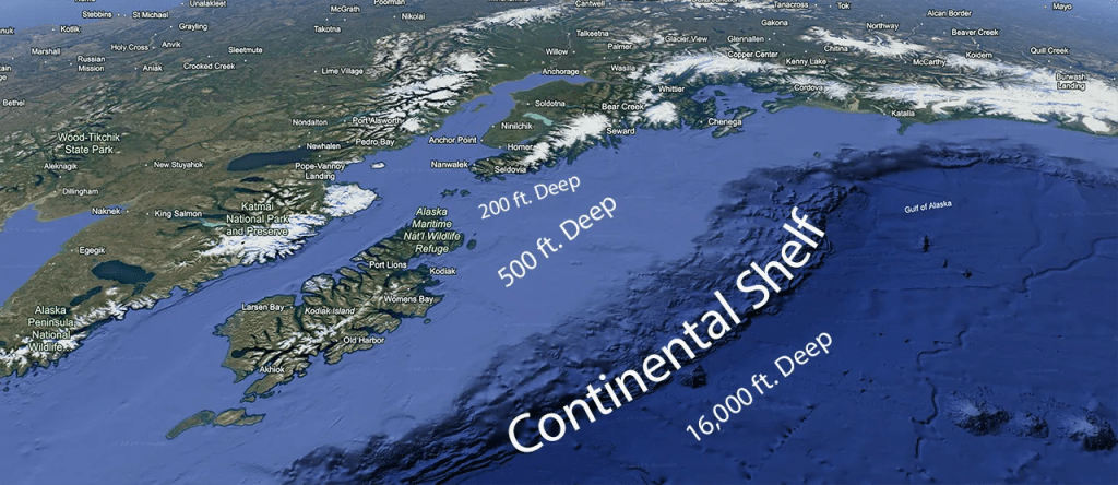 South Central Alaska Halibut Migration